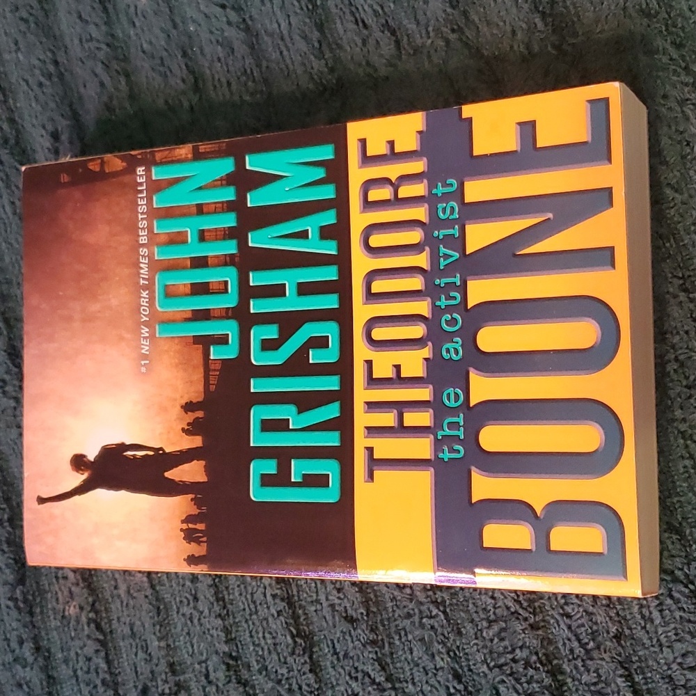 Theodore Boone: the activist